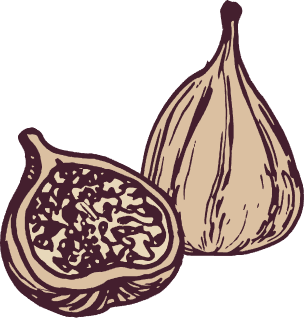 Fig